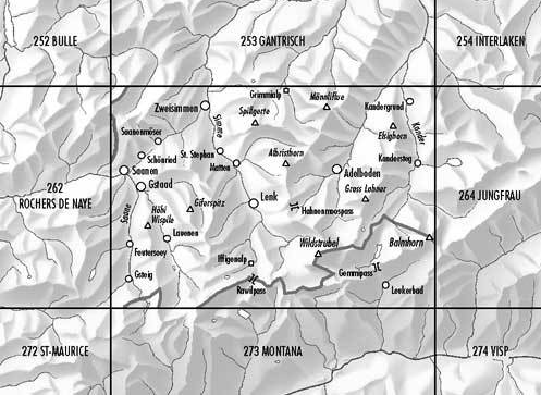 Topografische kaart 263 - Wildstrubel - Swisstopo