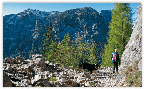 Wandelgids - Chiemgau- Berchtesgaden Wandern mit Hund - Rother
