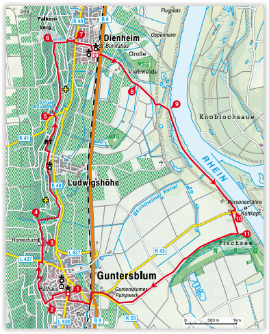 Wandelgids Rheinhessen - Rother