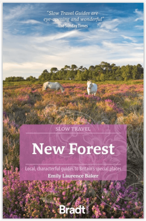 Reisgids Go Slow New Forest National Park - Bradt guides