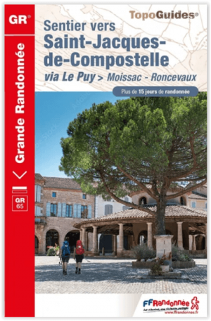 Wandelgids 653 Sentier Compostella Moissac à Roncevaux GR65 - FFR