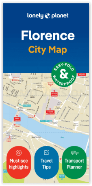 Stadskaart Florence city map - Lonely Planet