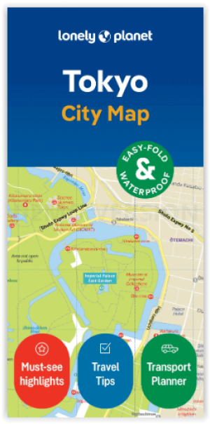 Stadskaart Tokyo city map - Lonely Planet