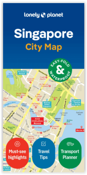 Stadskaart Singapore city map - Lonely Planet