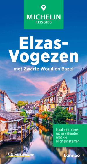 Reisgids Elzas- Vogezen met Zwarte Woud en Basel - Michelin
