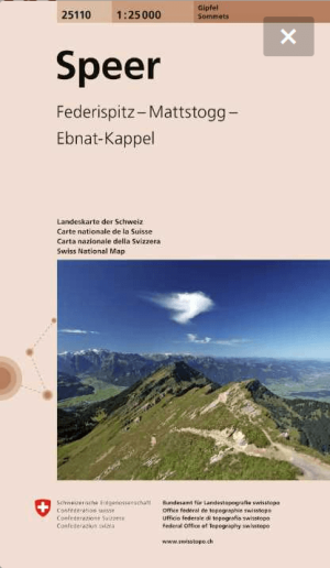 Summitkaart 25110 Speer - Swisstopo