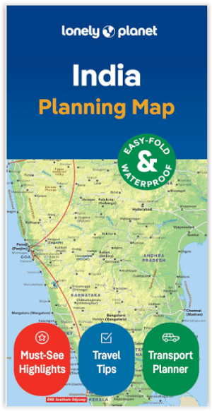 Reisgids India - Lonely Planet