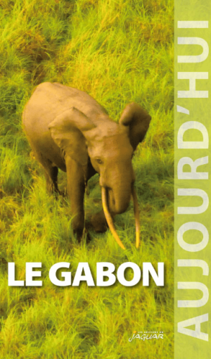 Reisgids Aujourd'hui Gabon Afrique - Editions Jaguar