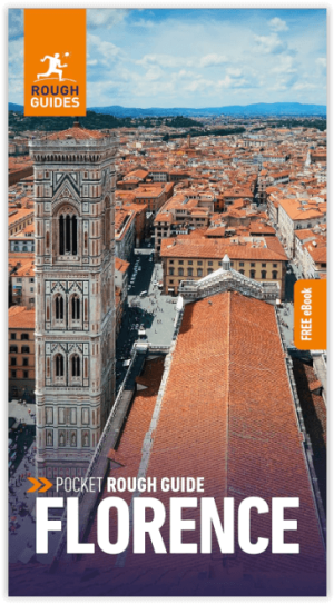 Reisgids Rough Guides Pocket Florence or Firenze - Rough Guides