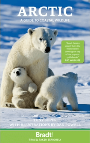 Arctic, A Guide to Coastal Wildlife - Bradt travel guides
