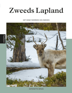 Reisgids Zweeds Lapland Zweden - Edicola