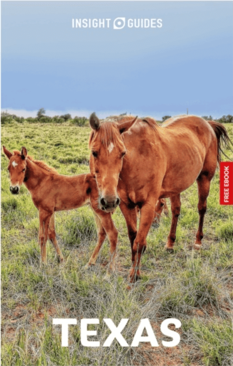 Reisgids Texas USA - Insight Guides (ENG)