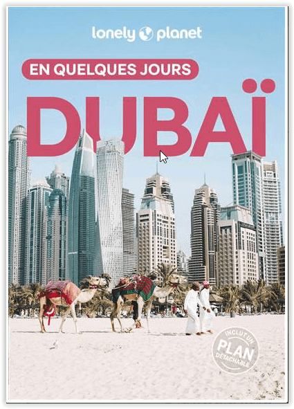 Reisgids Dubai (FRANSTALIG) - Lonely Planet 