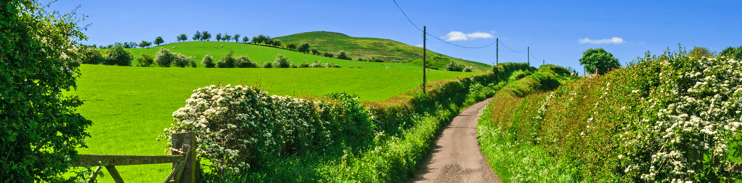 North Yorkshire, Dorpen, Shires, Wandelroutes, Reeth, Hutton-le-Hole, Grewelthorpe, Cleveland Way, Farndale, Circular Walks, Roseberry Topping, Kettlewell, Robin Hood’s Bay, Engeland, Wandelkaarten Engeland, Reisgidsen Engeland