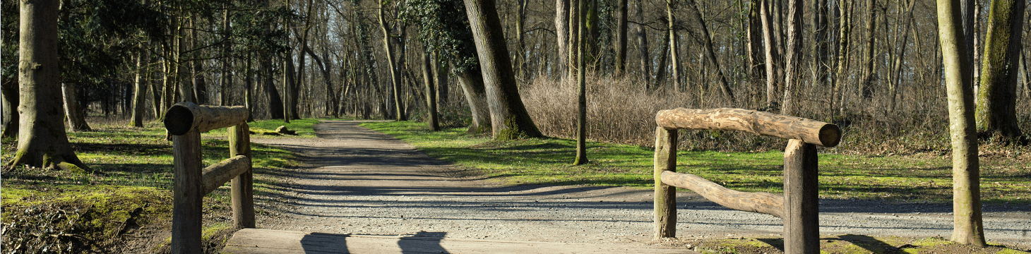 Utrechtse Heuvelrug Nationaal Park, Rhenen, Doorn, Amerongen, Zeist, Kaapse Bossen, Pyramide van Austerlitz, Grebbeberg, Heuvelrug wandelroutes, Nederland