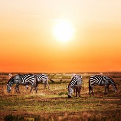 Tanzania
