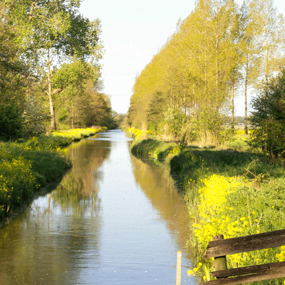 Zuid-Holland