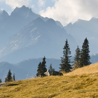 Het Tatra Gebergte