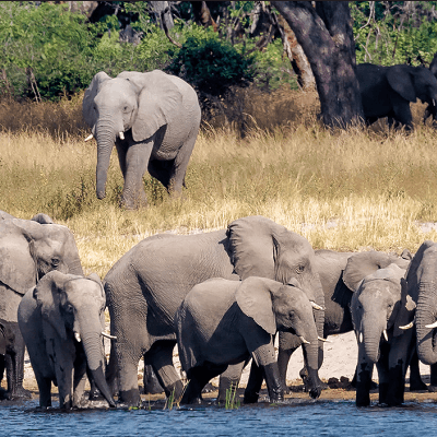 Botswana