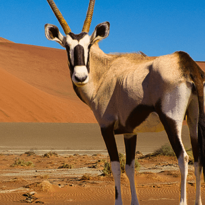 Namibië
