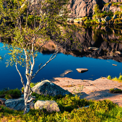 Tasmania