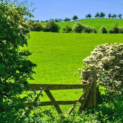 North Yorkshire
