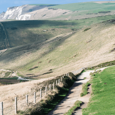 Dorset
