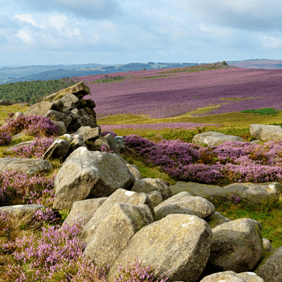 North York Moors National Park
